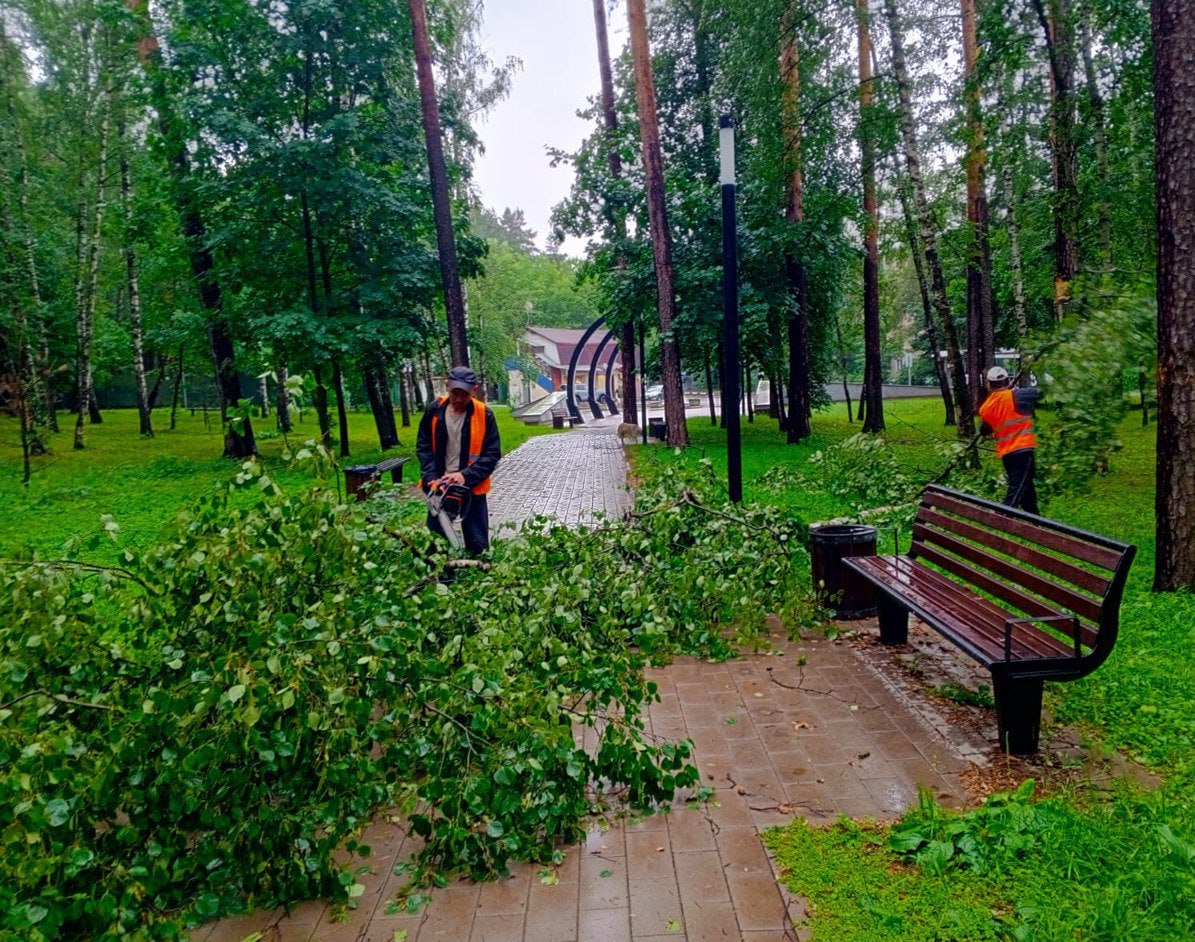 В Люберцах устраняют последствия непогоды | 20.06.2024 | Люберцы -  БезФормата